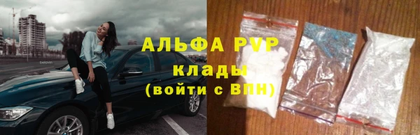 стафф Алексин
