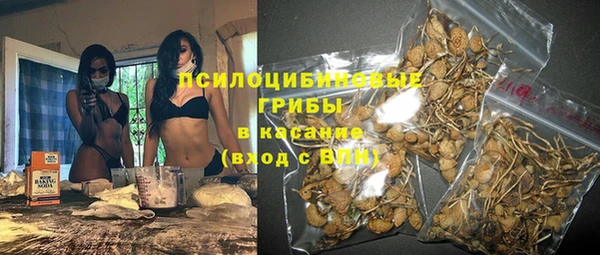 бошки Алексеевка
