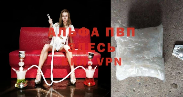 стафф Алексин