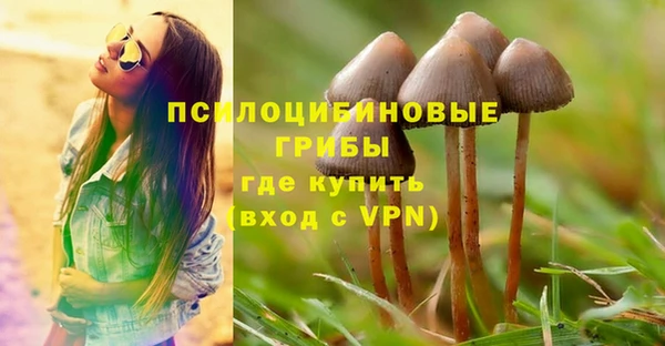 стафф Алексин