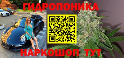прущие грибы Обнинск