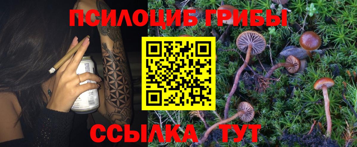 Псилоцибиновые грибы Psilocybine cubensis Учалы