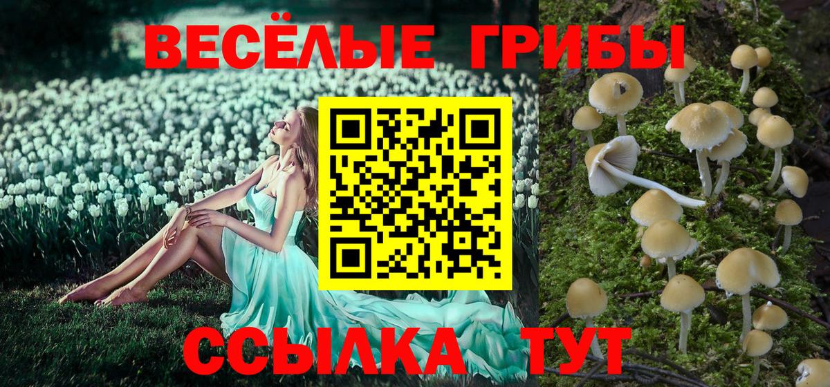 Учалы  Галлюциногенные грибы GOLDEN TEACHER  Вход с VPN 